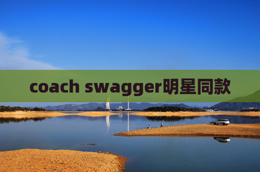 coach swagger明星同款